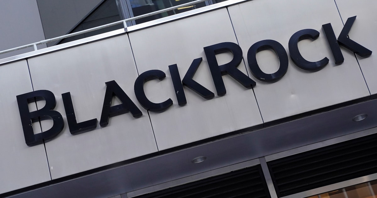 BlackRock Continues Its Bitcoin Purchases: What Insights Might They Have?