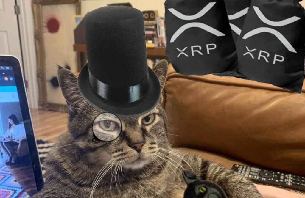 Ripple SEC Update: XRP Pursuing Banking License Amid Vital Support Level