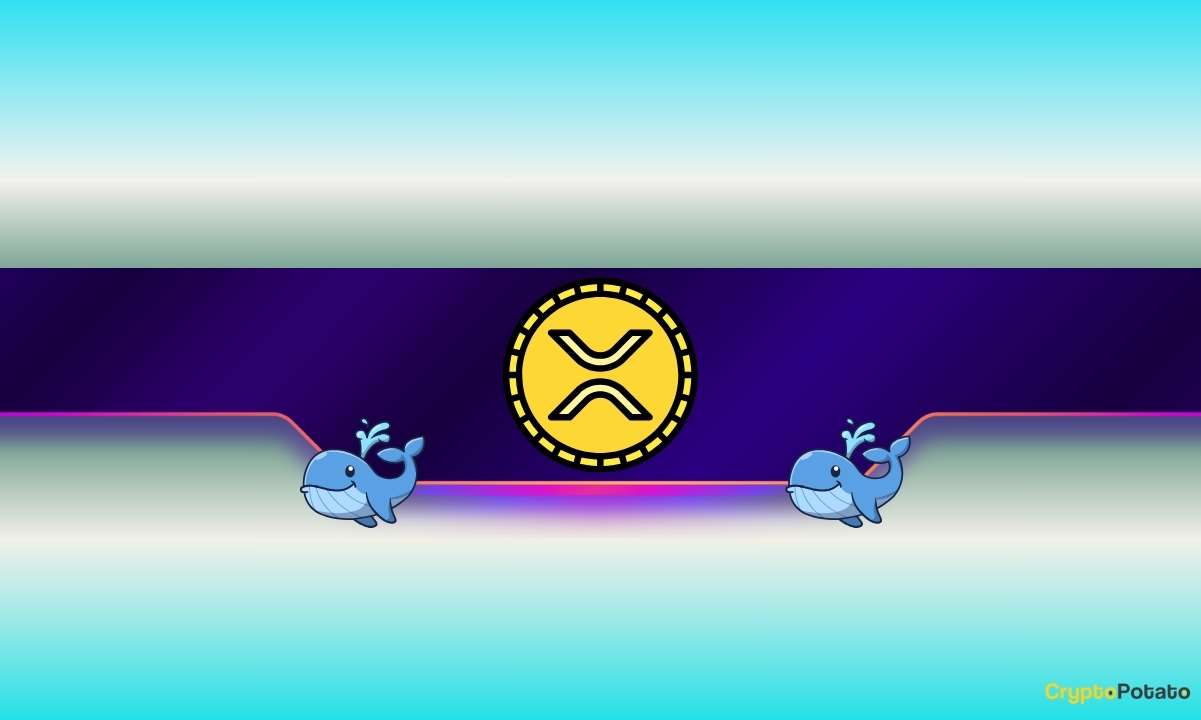 150 Million XRP Transferred in Two Days: A Cause for Alarm or a Chance?