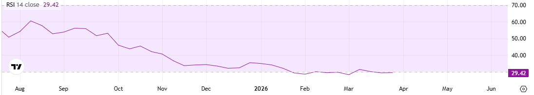 220 Million ADA Acquired in Just One Week: Are Cardano Whales Anticipating a Surge?