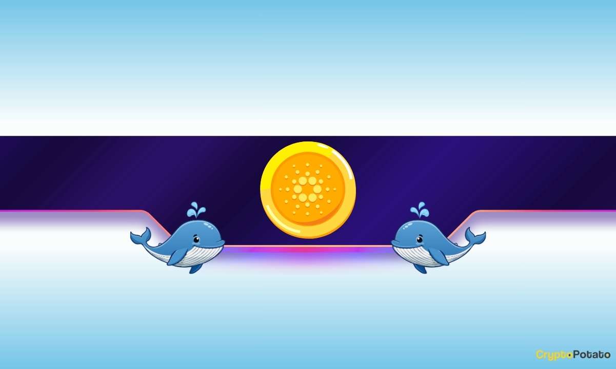 Cardano's ADA Faces Uncertain Future as 190 Million Tokens Are Sold