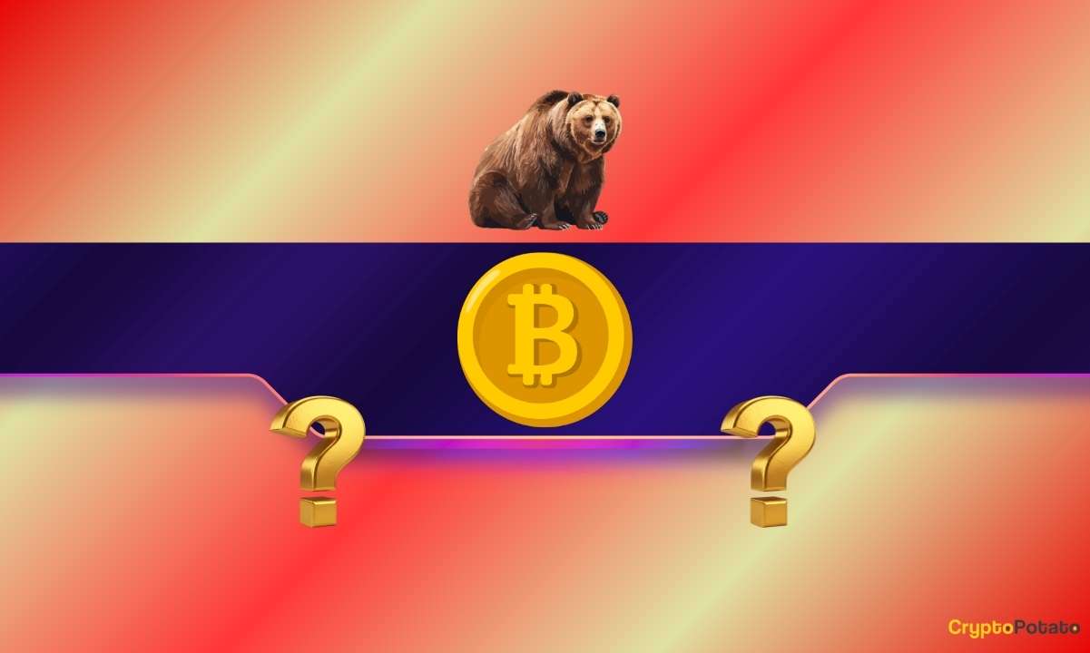 Exploring the Current Status of Bitcoin: Bear Market or Temporary Drop?