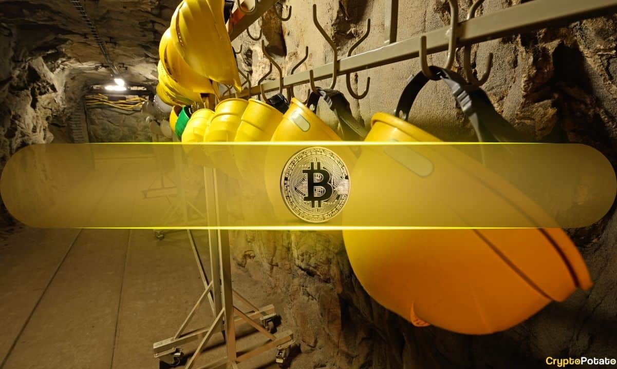 Bitcoin Fees Plummet, Yet Miners Face Financial Struggles