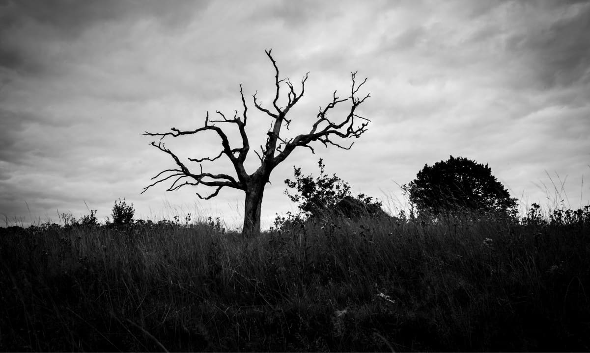 Majority of Crypto Tokens Have Failed: Insights from CoinGecko