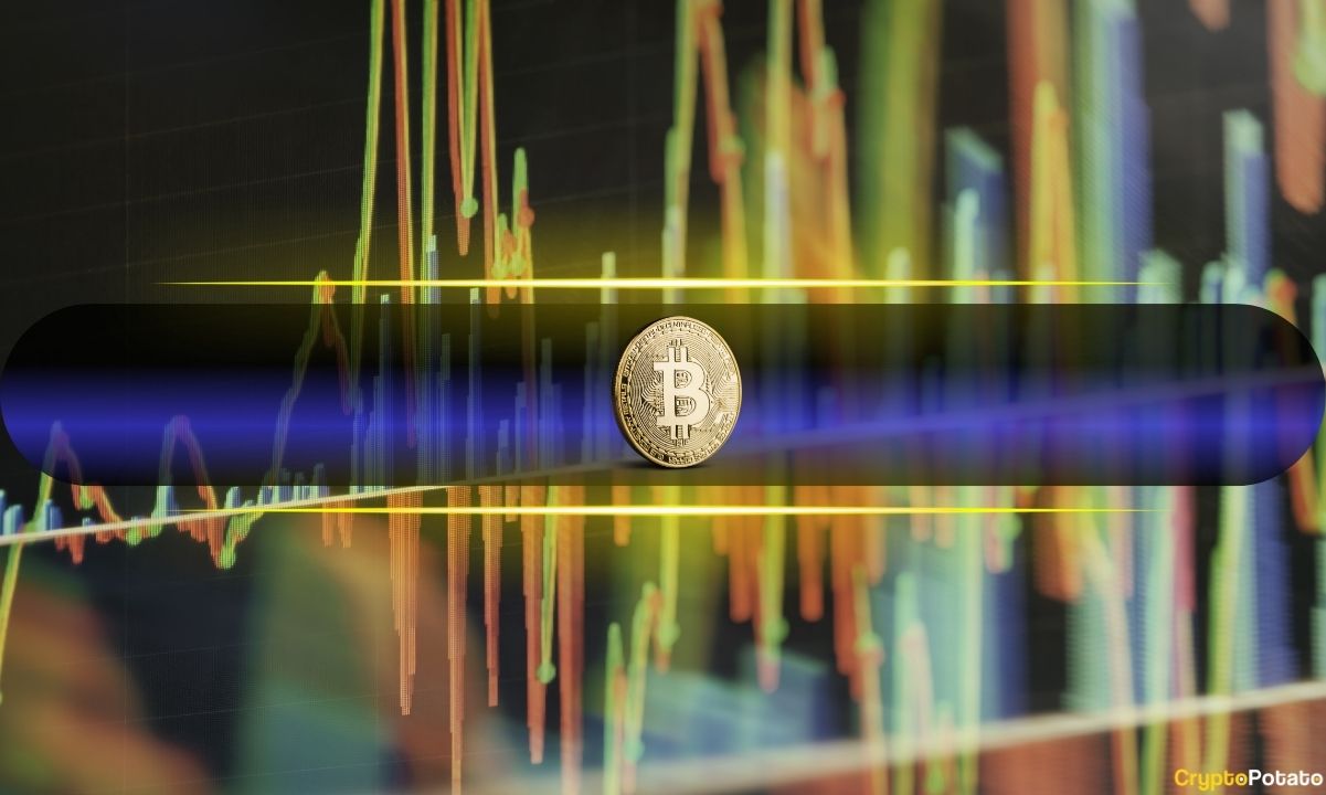 Bitcoin Market Volatility Driven by LTH and STH Dynamics