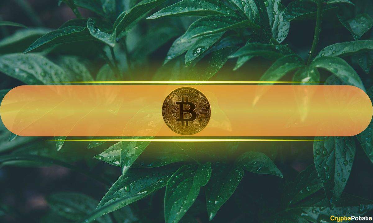 Bitcoin's Price Surge Could Bring it to $130K Target