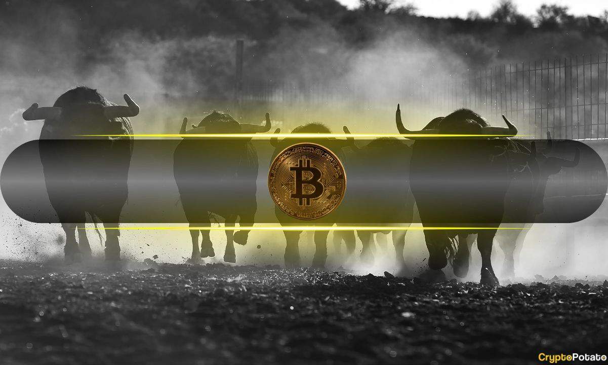 Is Today's $165 Billion Surge in Crypto an Indication of a Bull Market?