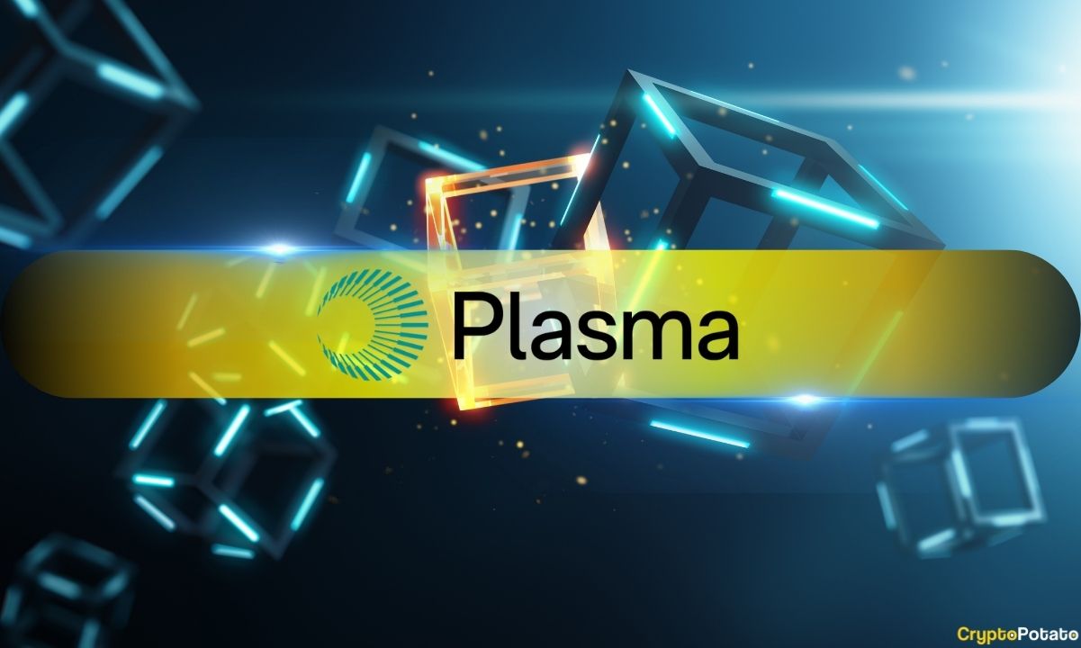 Plasma's CEO Dismisses Rumors of XPL Token Sales