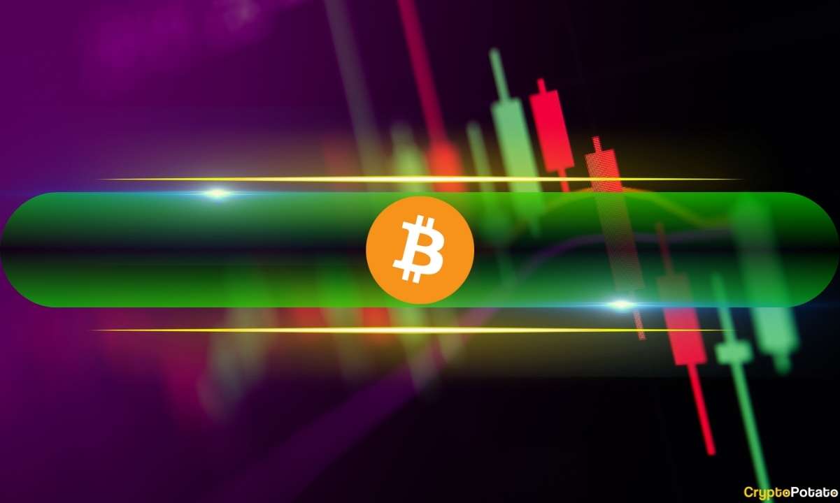 Zcash (ZEC) Soars 60% in Just One Day as Bitcoin (BTC) Hits 7-Week High