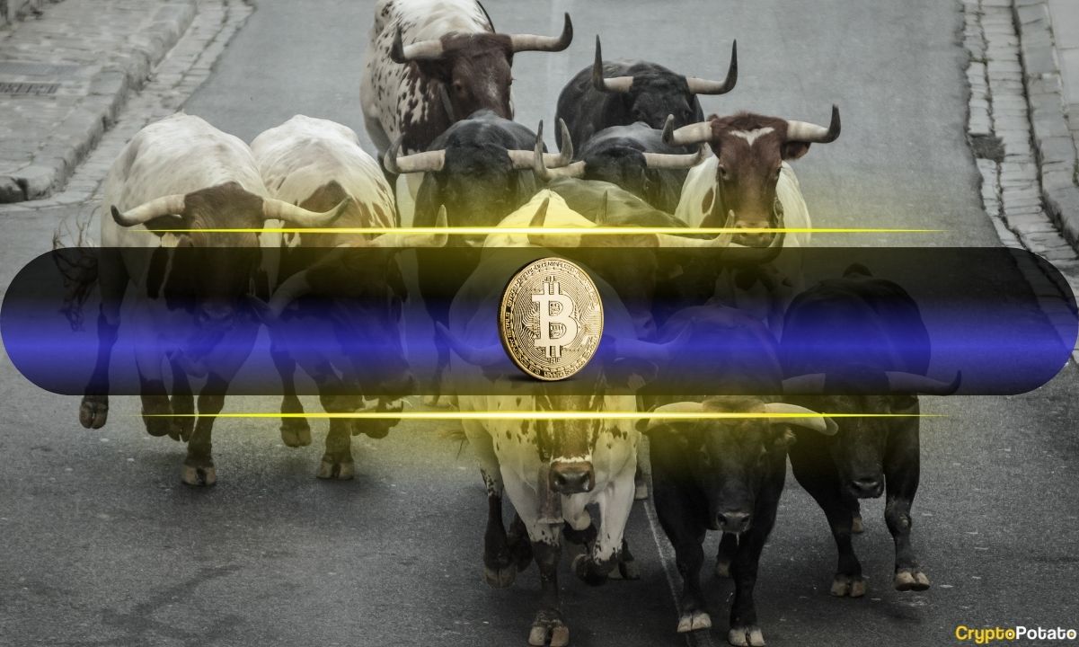 Bitcoin Surges as Long-Term Holder Interest Grows