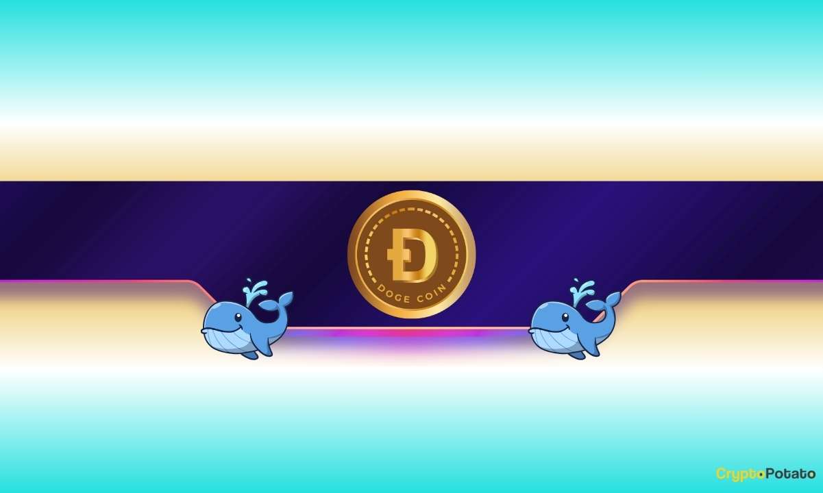 30 Million DOGE Accumulated in Just 24 Hours: Is Dogecoin Set for a Continued Surge?
