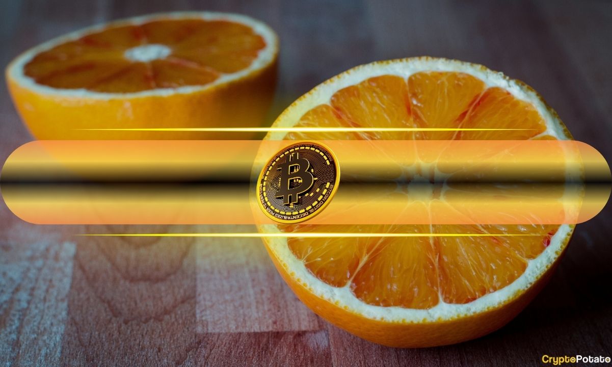Bitcoin Continues to Set New Highs as Halving Cycles Yield Diminishing Returns