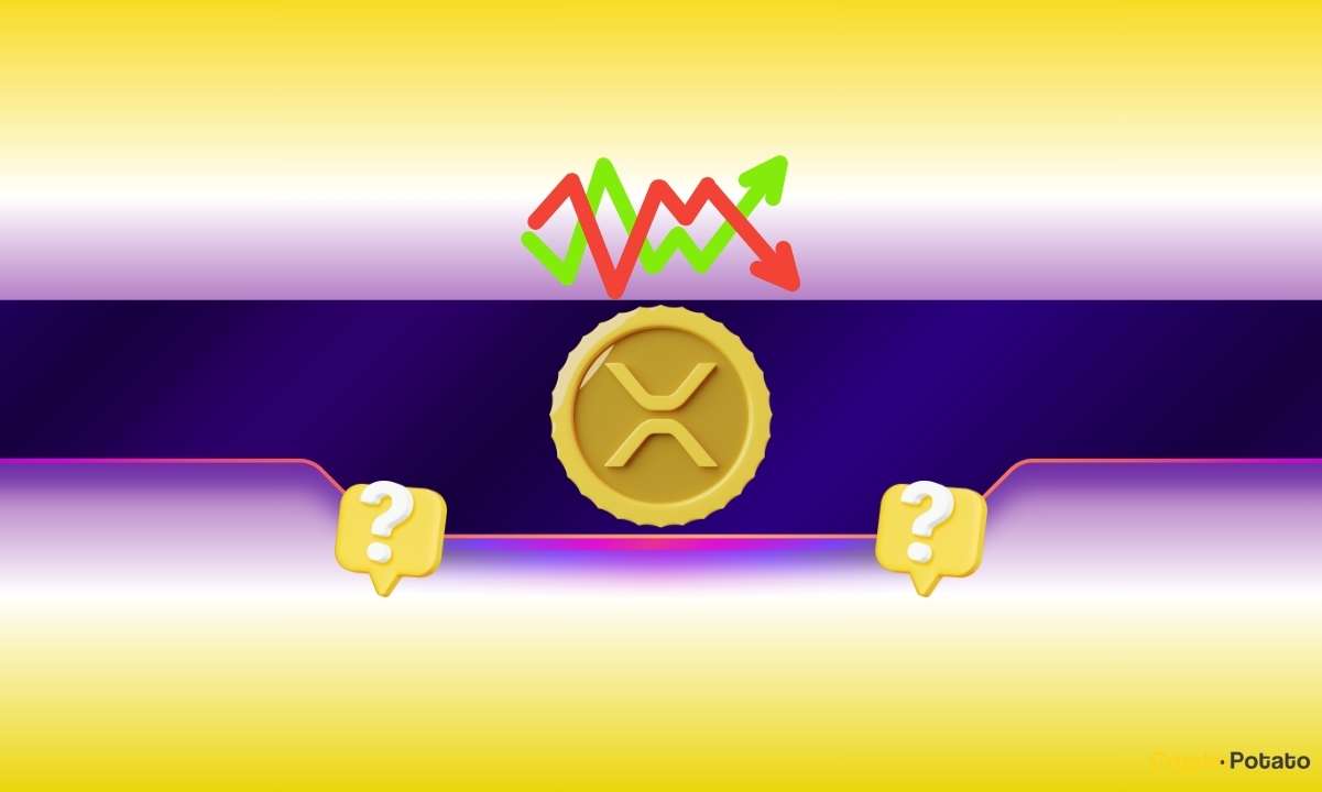 XRP's Surge: Insights from Three AI Systems on Future Price Movements