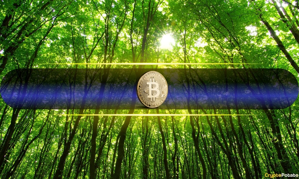 Bitcoin Sets New Weekly Inflow Record with $3.55 Billion