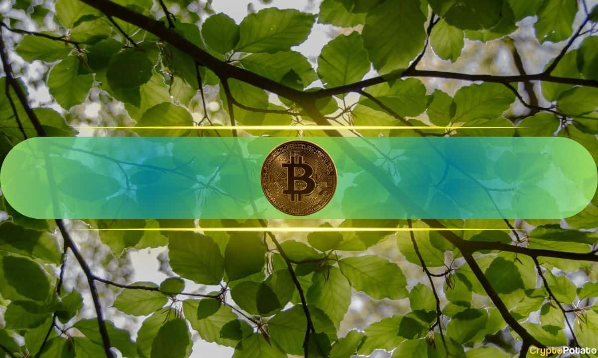 Bitcoin Price Forecast: Analyst Predicts a Peak at $400K