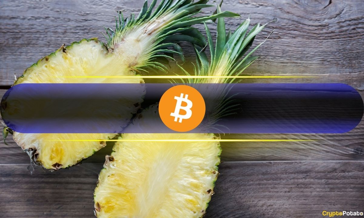 Bitcoin's Surge Post-Halving: Potential for More Growth Ahead