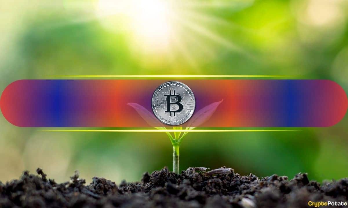 Assessing the Necessity of Last Week's Deleveraging in Bitcoin Markets: Insights from Glassnode
