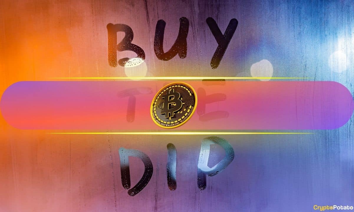 Retail Investors Find Opportunity Amidst Crypto Market Panic