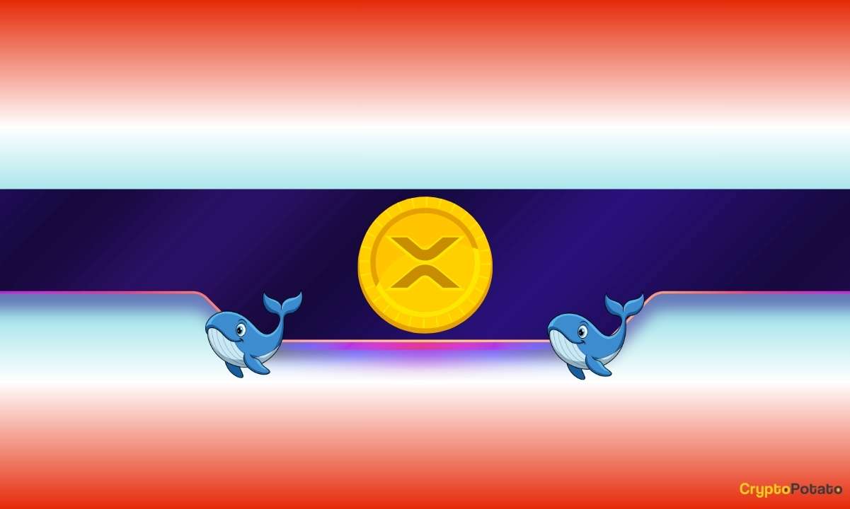 Ripple's XRP Faces New Concerns as Whale Activity Raises Alarm