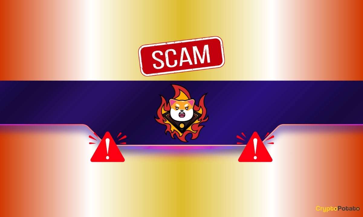 Alert to Shiba Inu (SHIB) Community: Stay Cautious