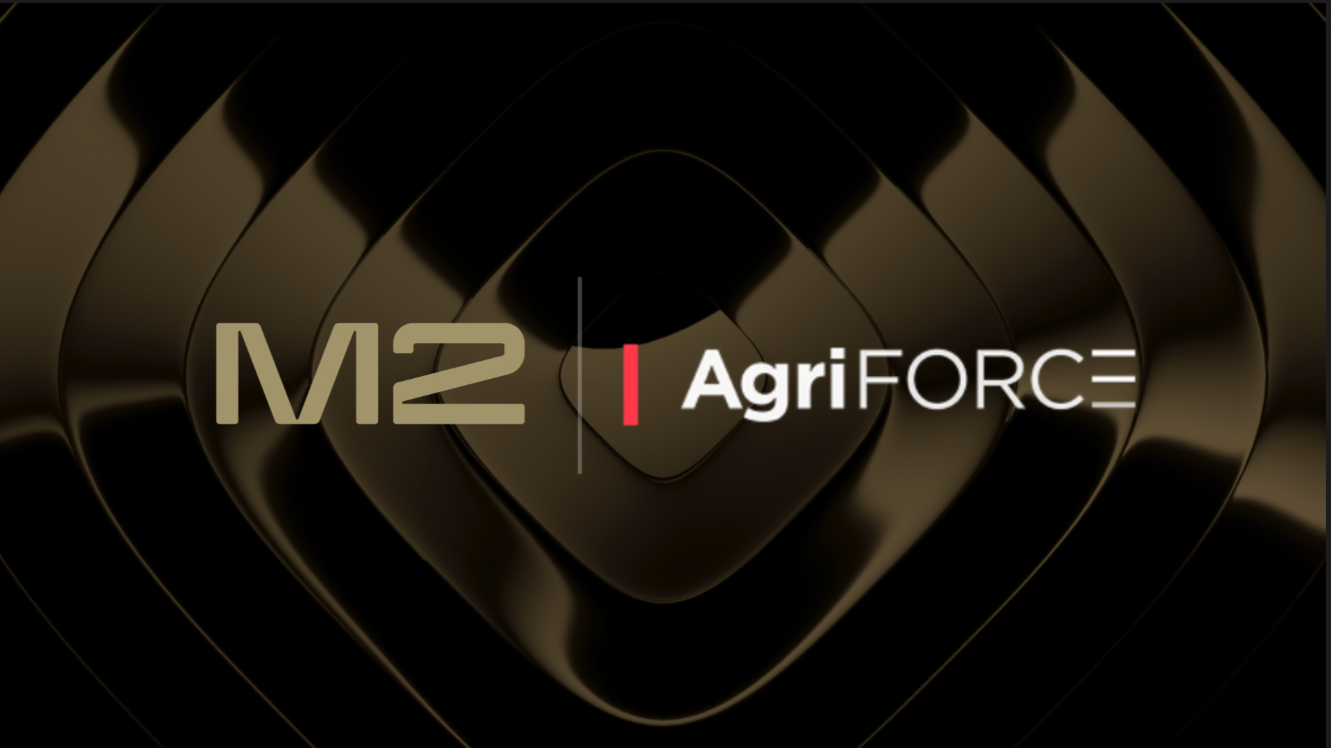 M2 Capital Invests $21 Million in AVAX Digital Asset Treasury