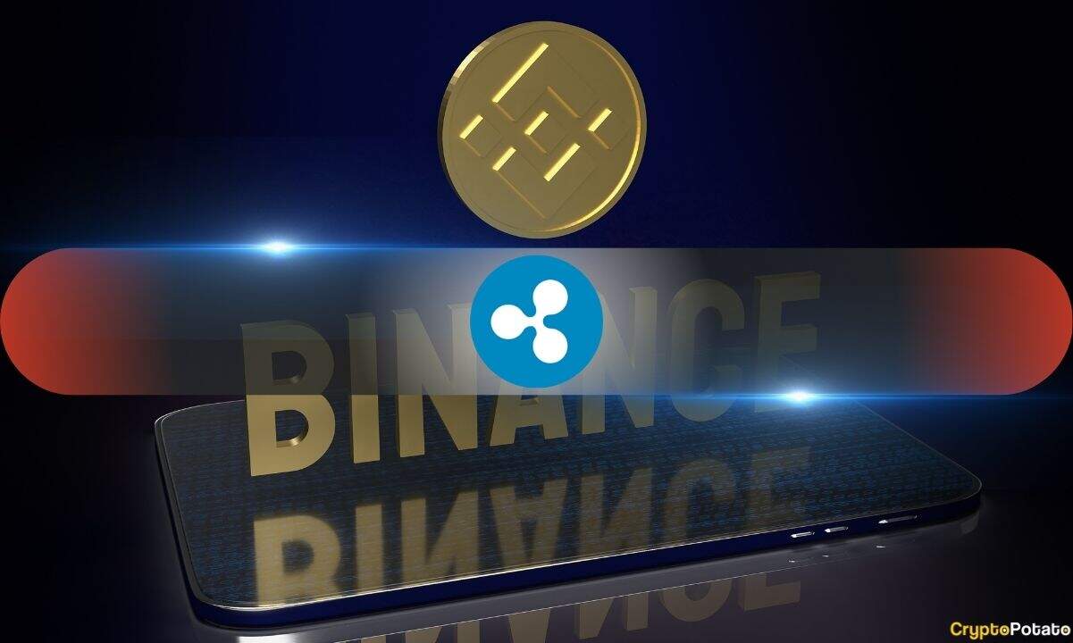 XRP Price Drops 20% as Whale Movements Surge to Binance