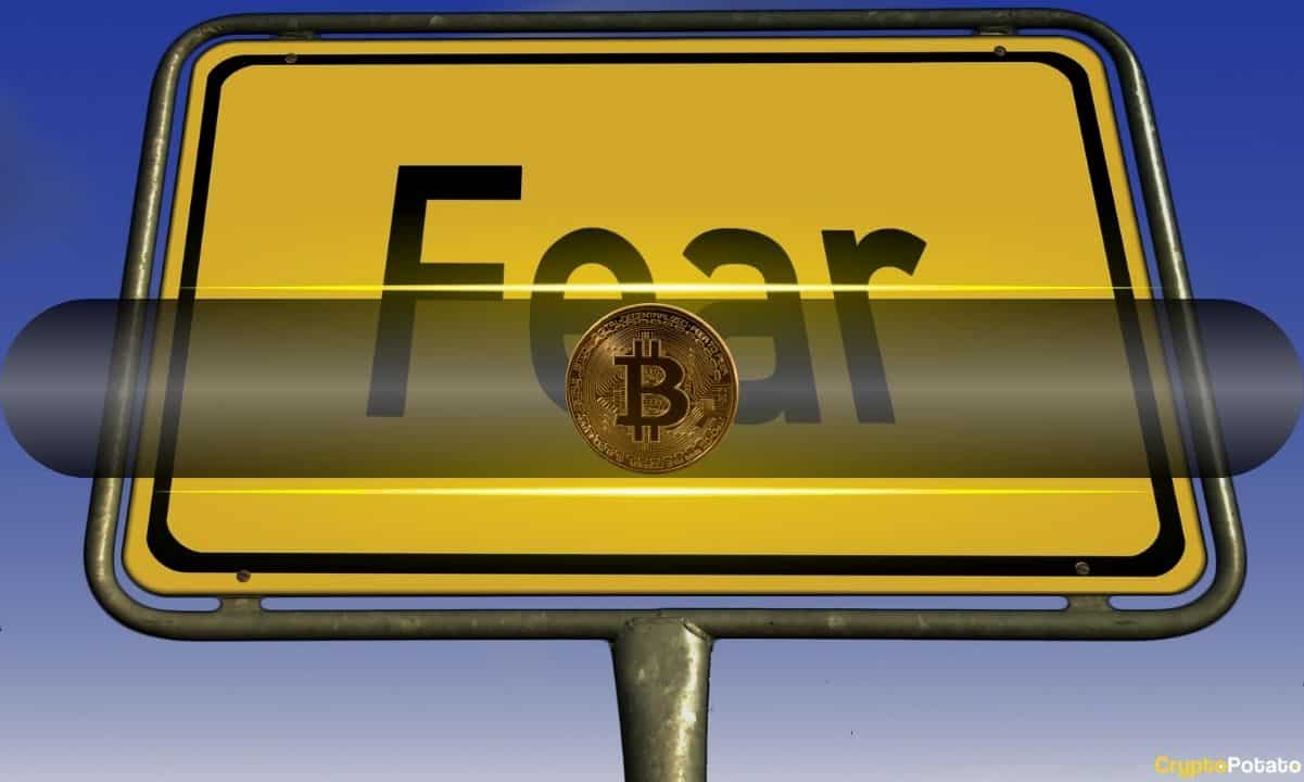 Crypto Market Faces Extreme Fear as Bitcoin Drops by $20K