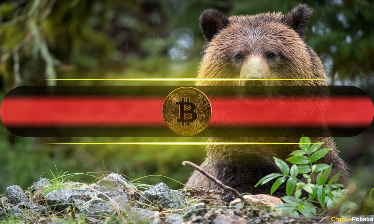 No Capitulation, Just Stabilization: Insights from Bitcoin's Current Market Correction