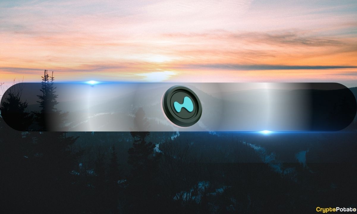 Whale Conflicts: A Tug-of-War Between Bulls and Bears Unfolds on Hyperliquid