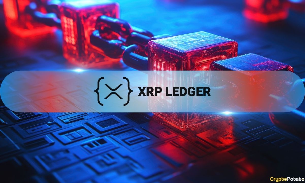 XRP Ledger Records 8.9% Increase in Daily Transactions with NFT Growth in Q3
