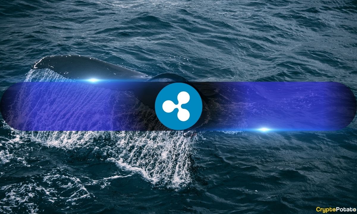 XRP Faces Pressure Despite Positive Trends as Whale Activity Intensifies