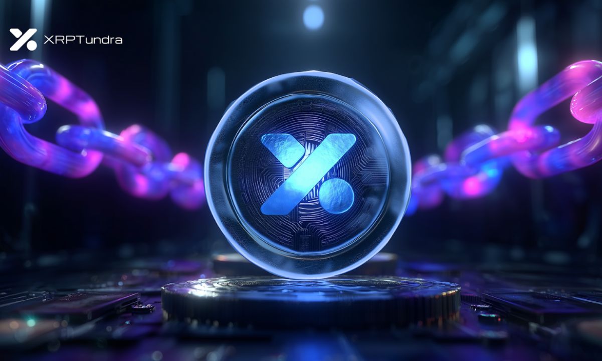 A Thorough Examination of XRP Tundra: A Beacon of Transparency in Crypto Presales