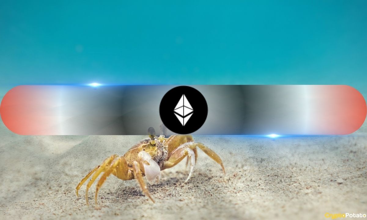 Is Ethereum Reaching a Classic Support Level? Whales Continue to Accumulate