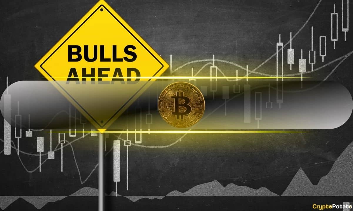 Market Analysts Anticipate Strong Bull Run Despite Recent Crash