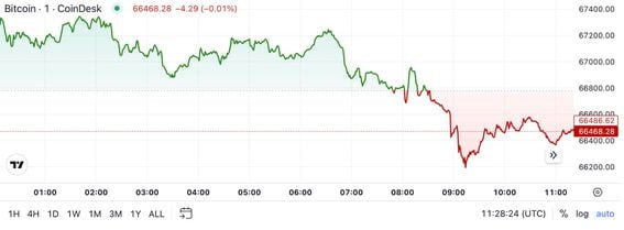 Market Update: Bitcoin Drops Below $67K, Causing a Wider Cryptocurrency Downturn