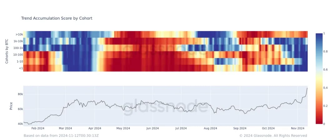 Bitcoin's Small Investors Drive Recent Rally as Major Holders Sell Off