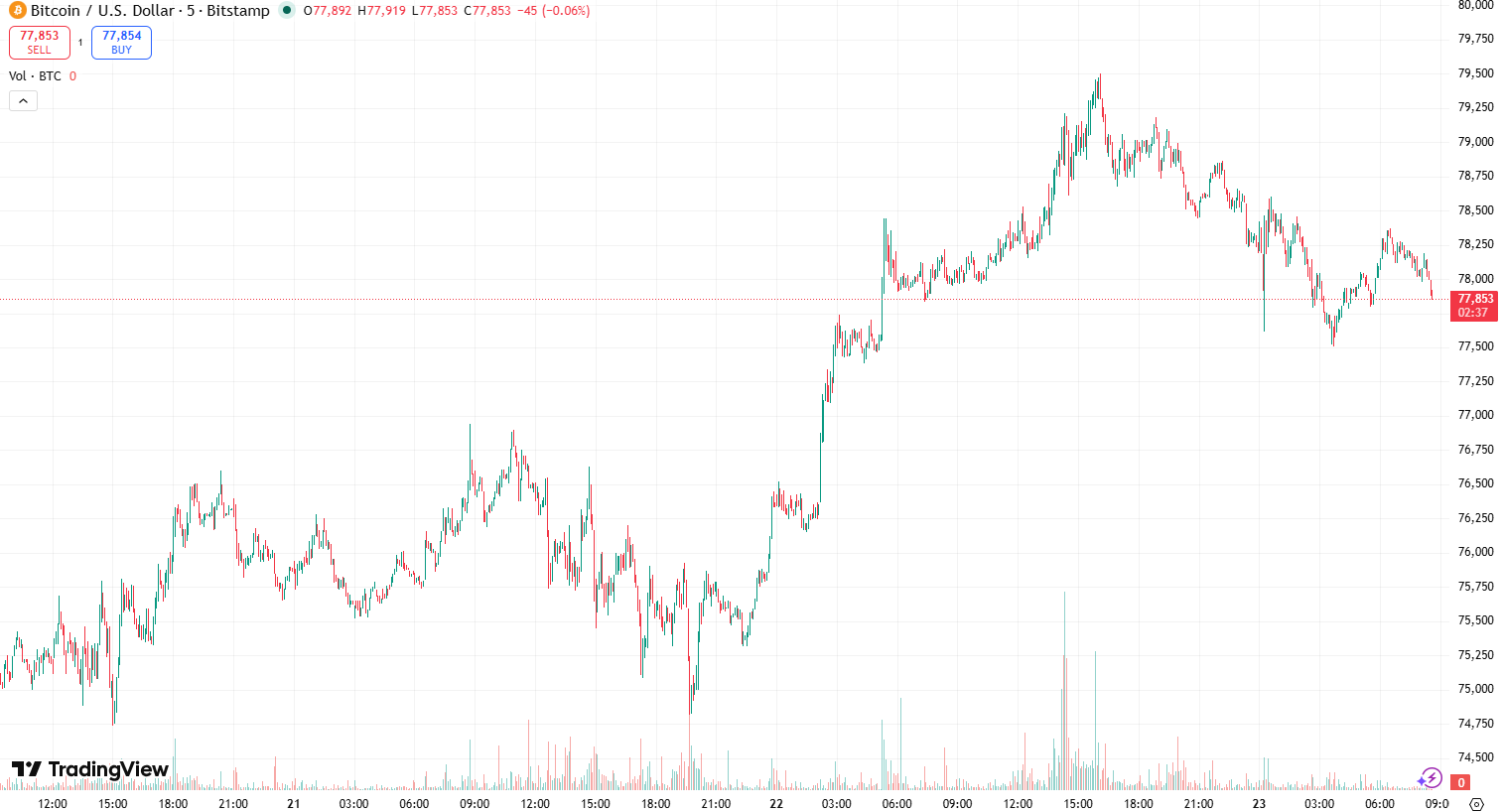 Bitcoin Struggles to Surpass $80K, MemeCoin Continues to Thrive