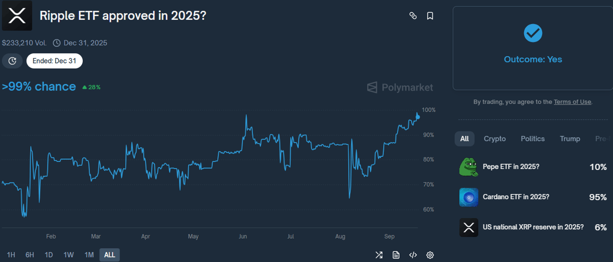 Can BNB Surpass XRP? Insights Unveiled