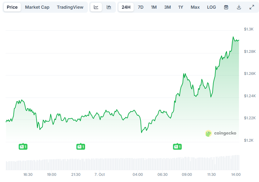 Binance Coin Surges Past Ripple Following Record Price Increase