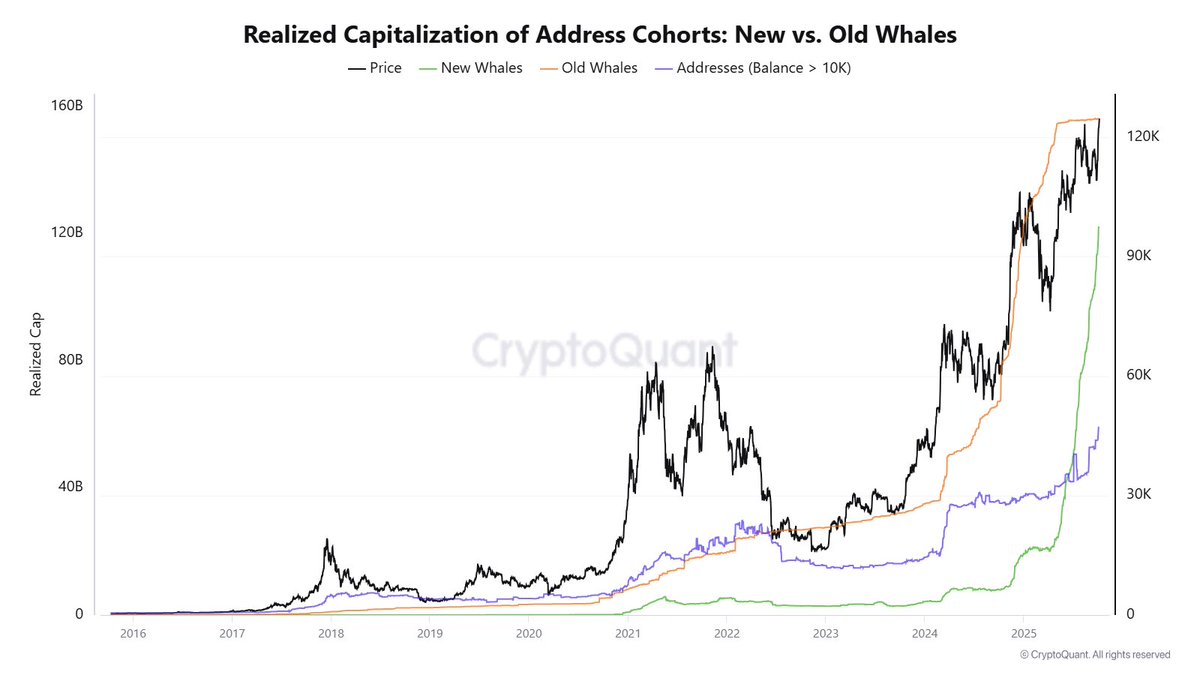 Whales Snatch Up 60,000 BTC in Just One Week: Is a Bitcoin Surge Ahead?