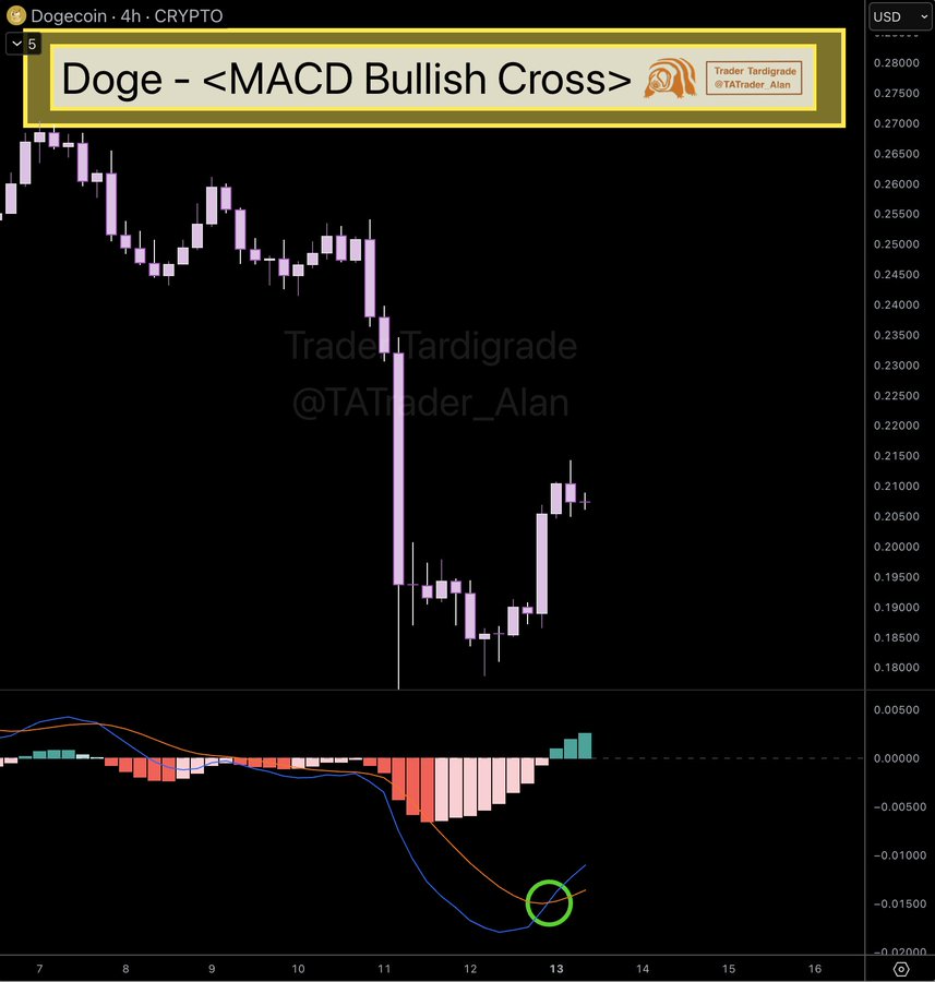 Dogecoin Surge: 11% Rise Sparks Optimism for $1 Target