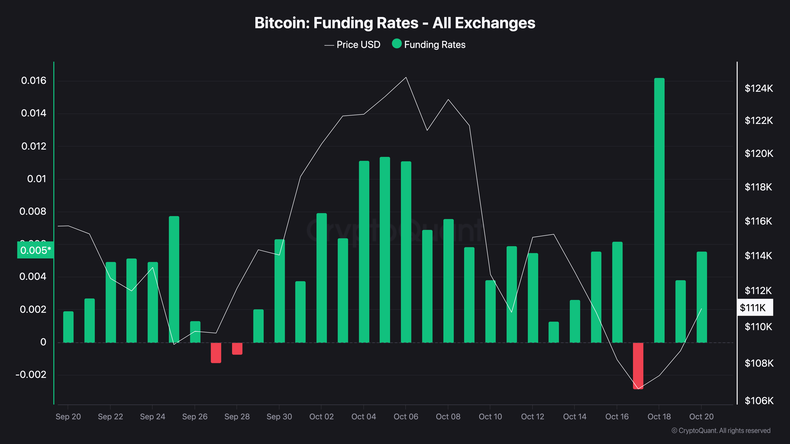 Bitcoin's Crucial Support: Is This A New Bull Cycle?