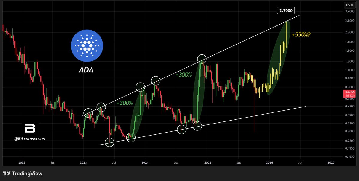 Cardano's Potential Recovery? Key Support Level Under Observation