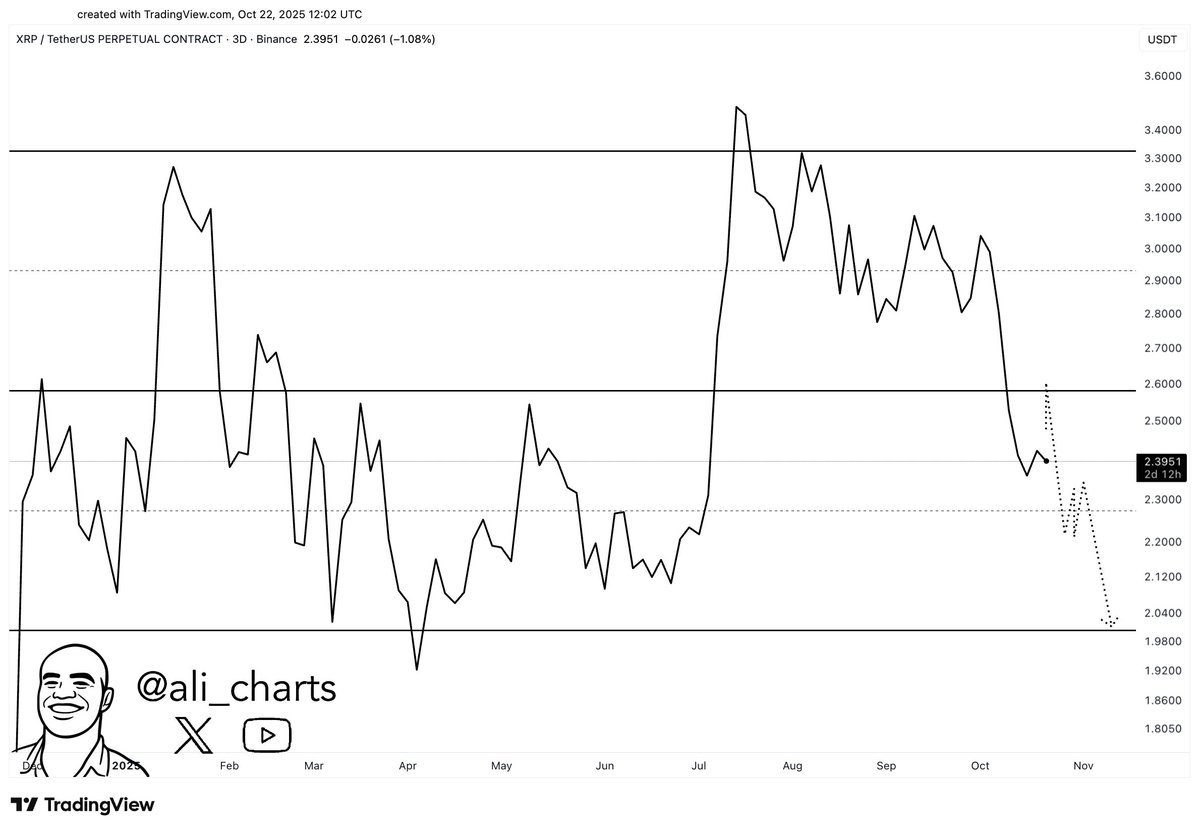 What's Coming for Ripple's Price Amid Whale Activity