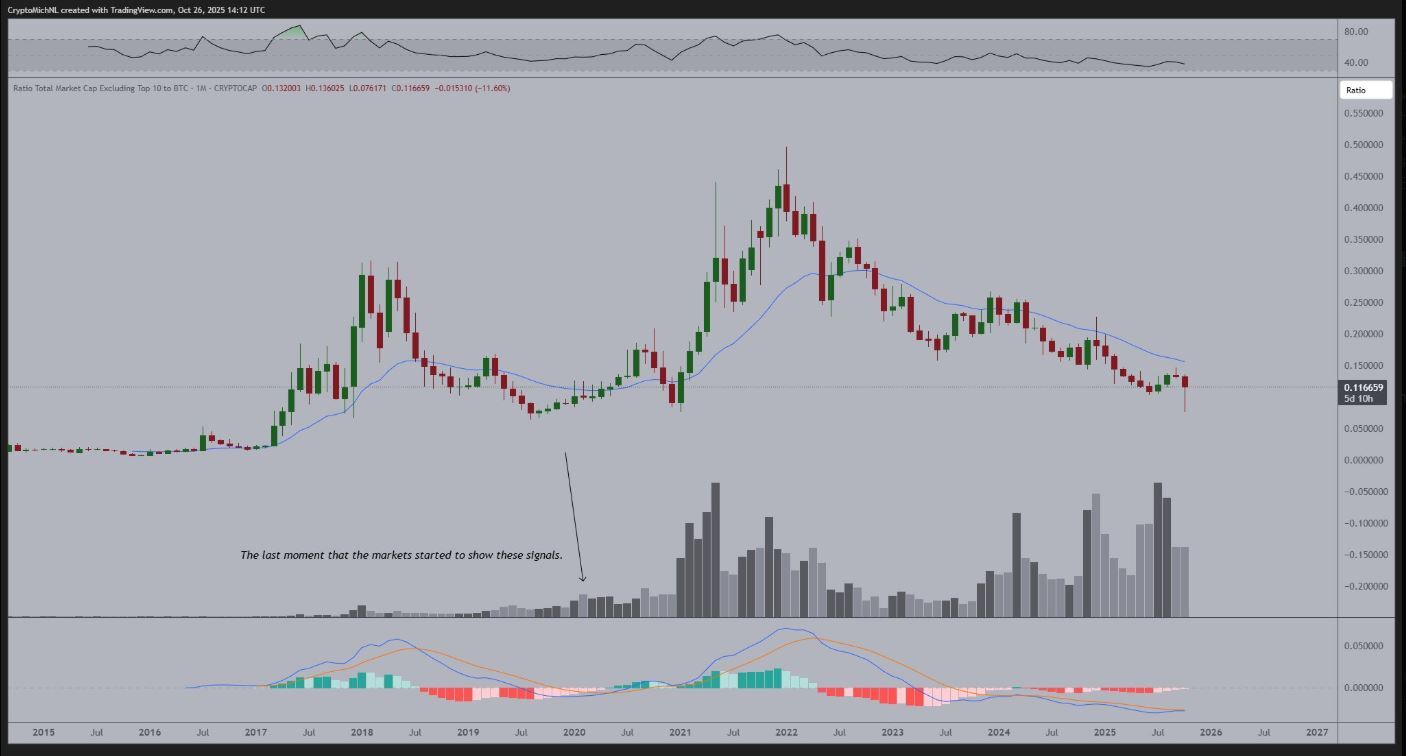 Altcoins Face Historic Bear Market, But Signs of a Turnaround Emerge