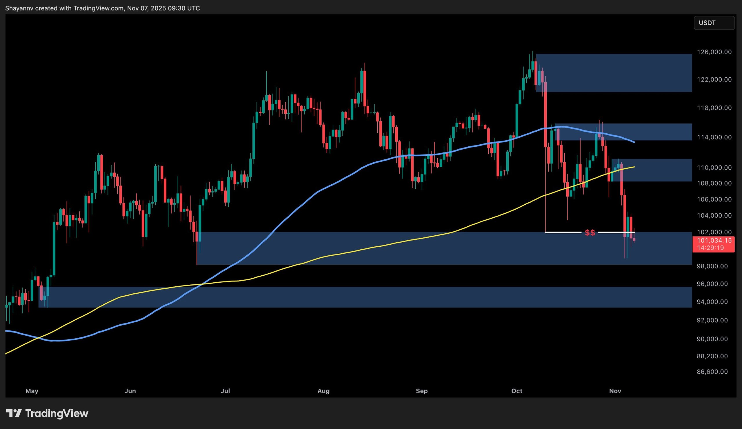 Bitcoin Price Analysis: Forecasting Support Levels Beyond $100K