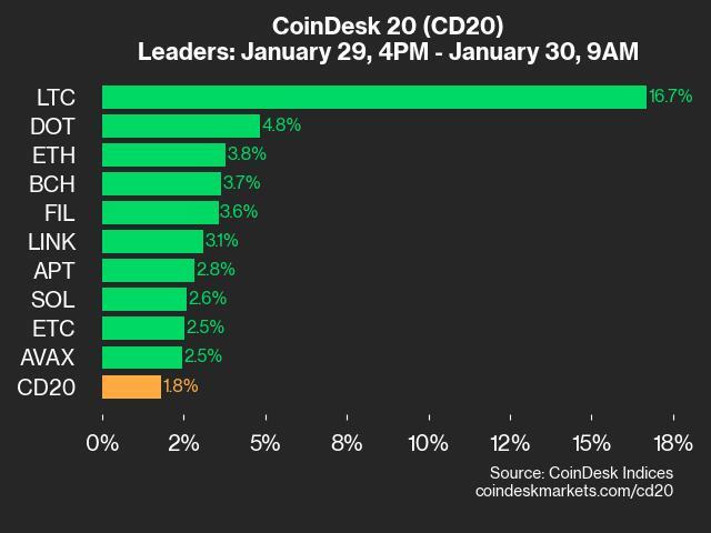 Market Performance Update: Litecoin and Polkadot Lead Gains