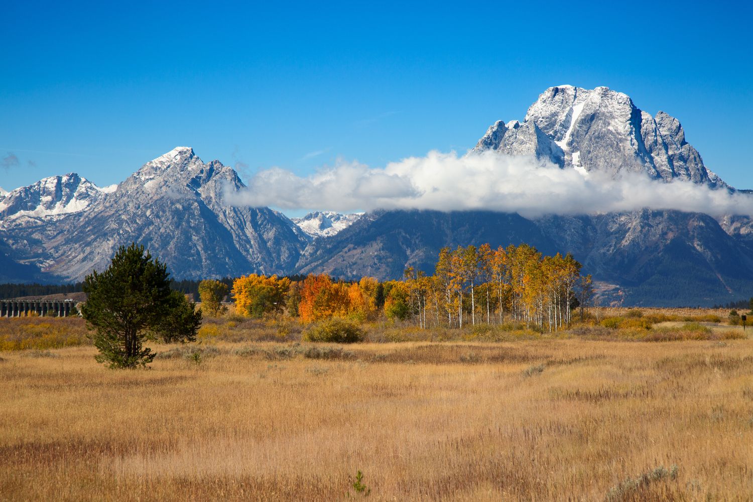 Challenges Facing Wyoming's Blockchain Aspirations