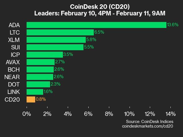 Performance Update for CoinDesk 20: Cardano Surges 13.6%, Leading the Index