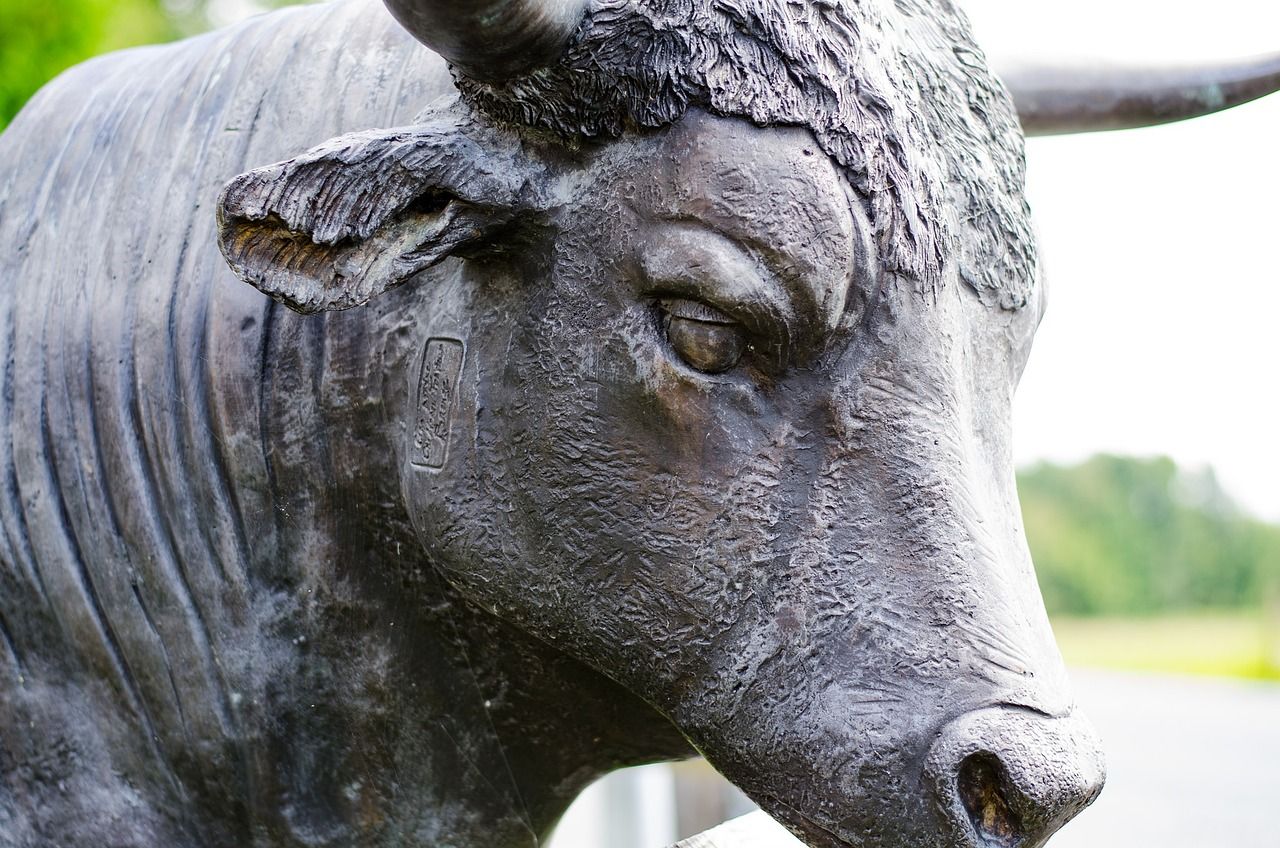 The Ongoing Bitcoin Bull Market: Historical Insights Suggest Continued Growth